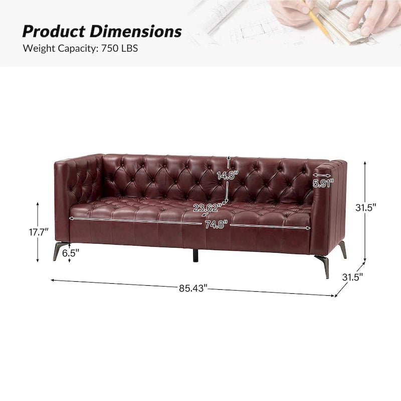 Nestor Transitional Genuine Leather Sofa with Metal Legs and Tufted Back