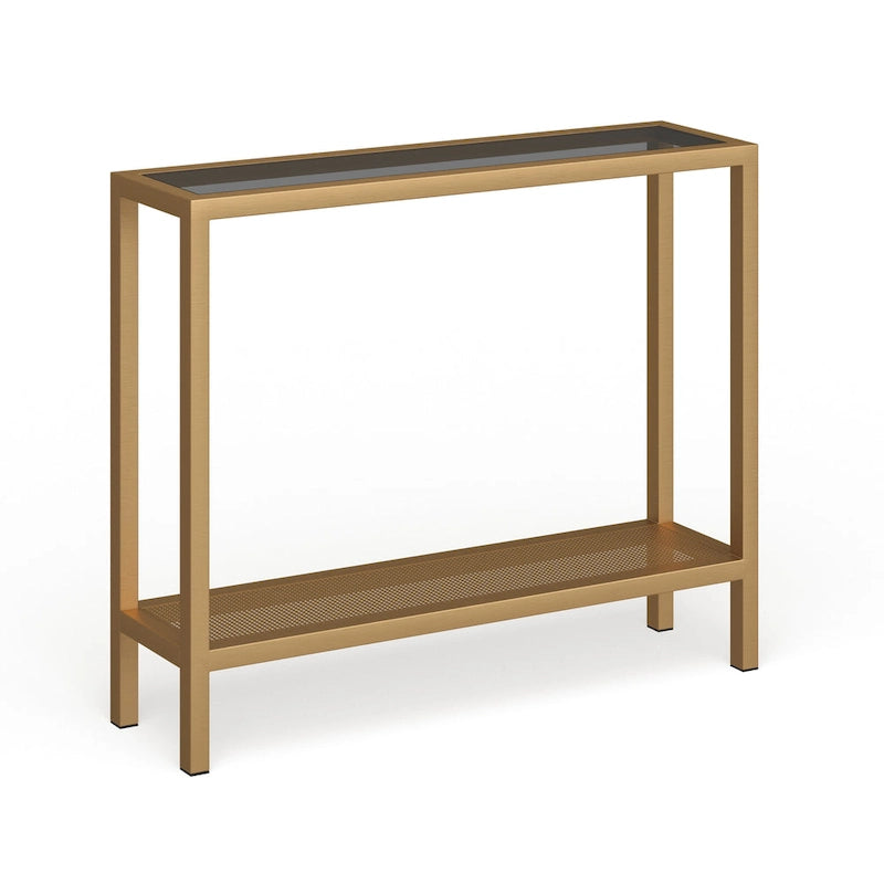 Rigan Modern Metal and Glass Console Table