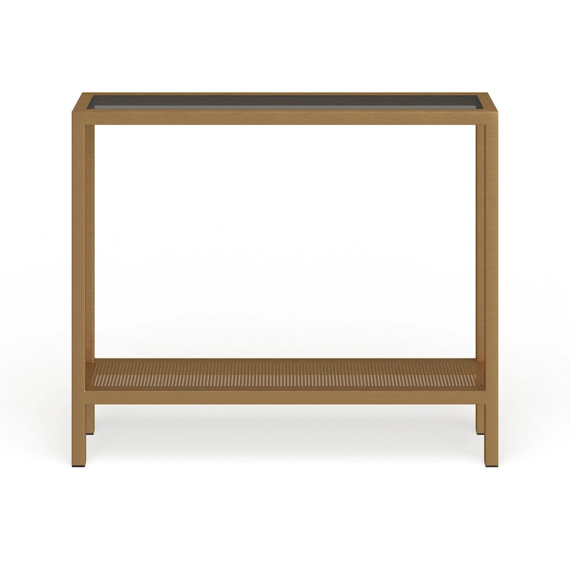 Rigan Modern Metal and Glass Console Table