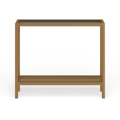 Rigan Modern Metal and Glass Console Table