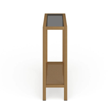 Rigan Modern Metal and Glass Console Table