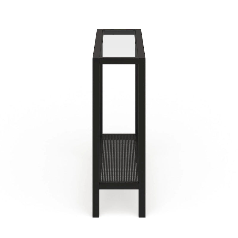 Rigan Modern Metal and Glass Console Table