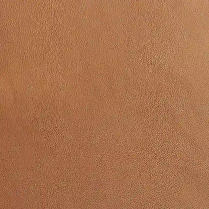 Art Leon Mid-centuery Modern Genuine Leather Chair