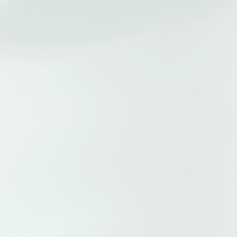 CraftPorch Minimalist Twin Size Metal Daybed with Trundle