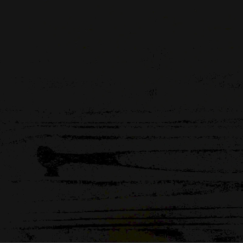 Middlebrook Designs Transitional Solid Wood Queen Bed