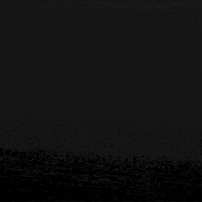 CraftPorch Transitional Wooden Platform Bed